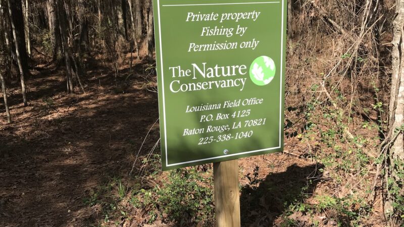 Mary Ann Brown Nature Preserve - St Francisville, LA