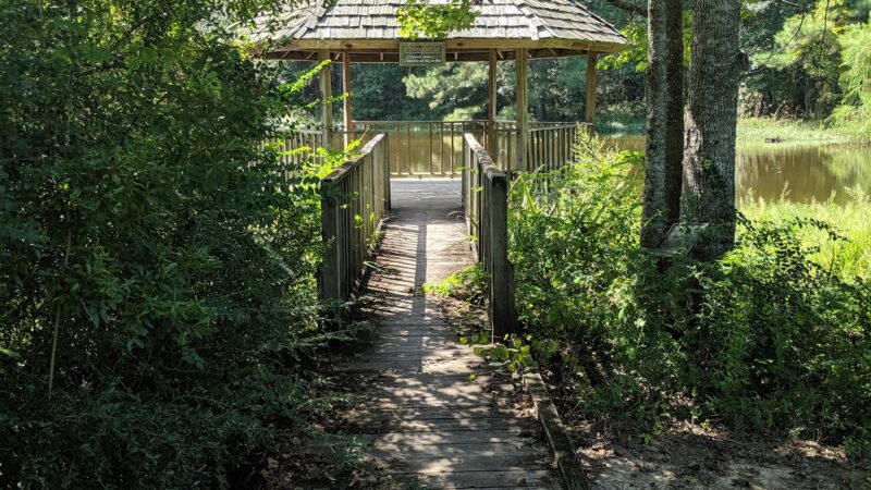Mary Ann Brown Nature Preserve - St Francisville, LA