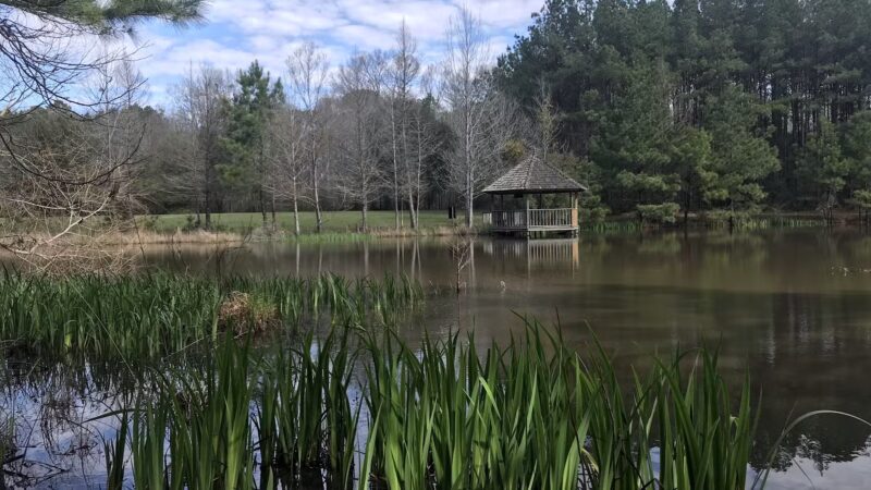 Mary Ann Brown Nature Preserve - St Francisville, LA