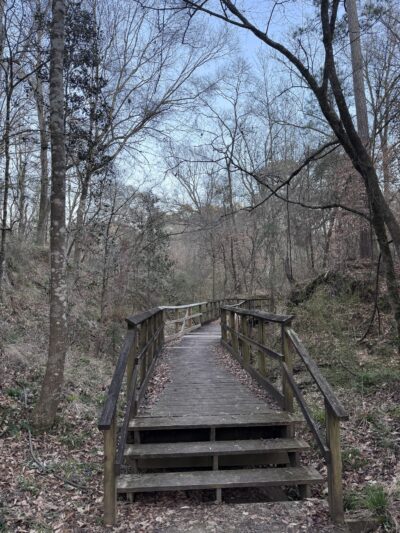 Mary Ann Brown Nature Preserve - St Francisville, LA