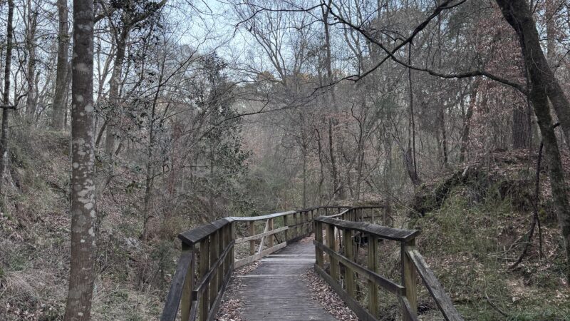 Mary Ann Brown Nature Preserve - St Francisville, LA