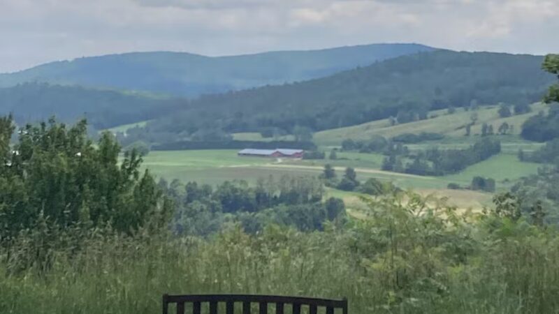Dog Mountain Pond - St Johnsbury, VT