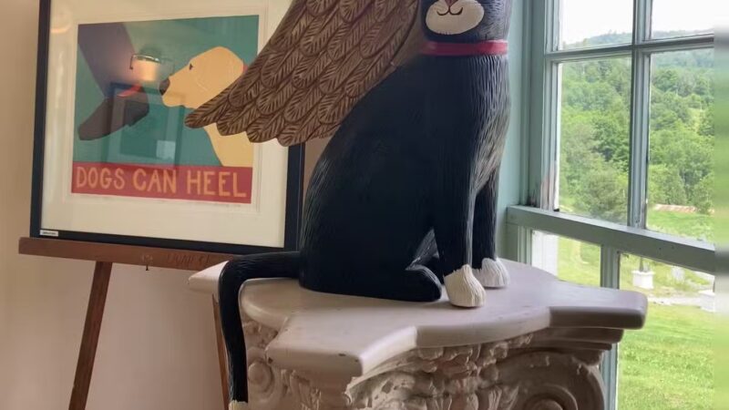 Dog Mountain Pond - St Johnsbury, VT