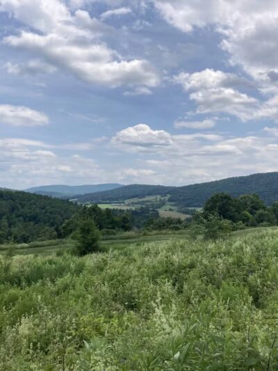 Dog Mountain Pond - St Johnsbury, VT