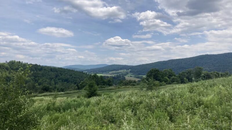Dog Mountain Pond - St Johnsbury, VT