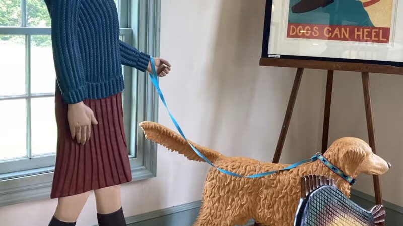 Dog Mountain Pond - St Johnsbury, VT