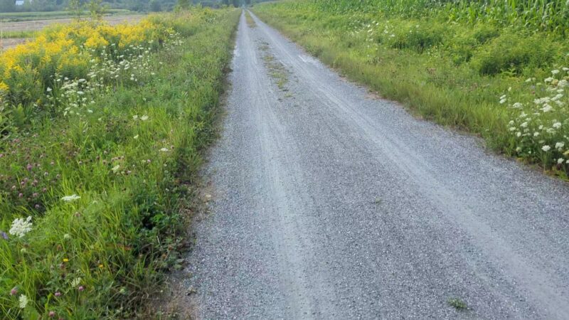 Lamoille Valley Rail Trail Parking - St Johnsbury, VT