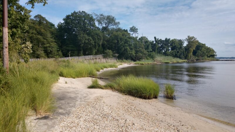 Jefferson Patterson Park - St Leonard, MD