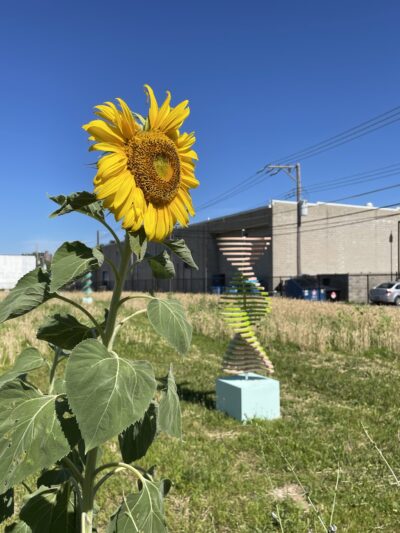 2 Acre Park (A Pocketparks Project) - St. Louis, MO