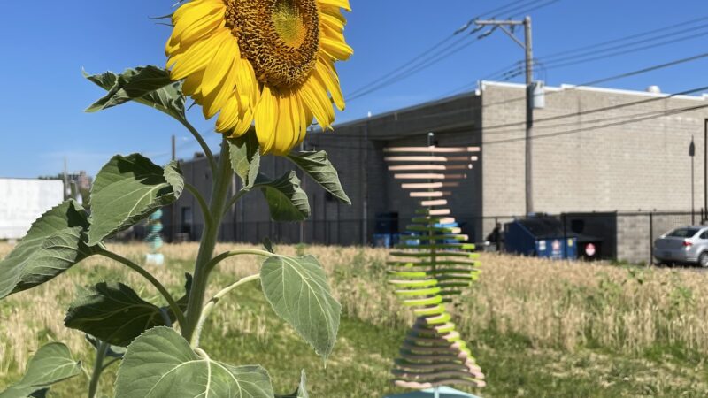 2 Acre Park (A Pocketparks Project) - St. Louis, MO