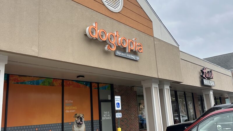 Dogtopia of Rock Hill - St. Louis, MO