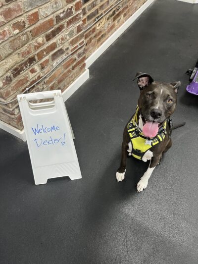 Doozle's Den - St. Louis, MO