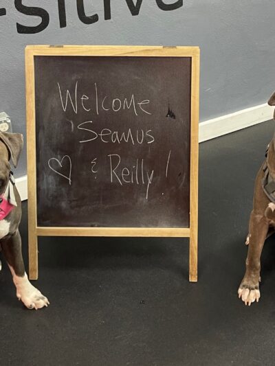 Doozle's Den - St. Louis, MO