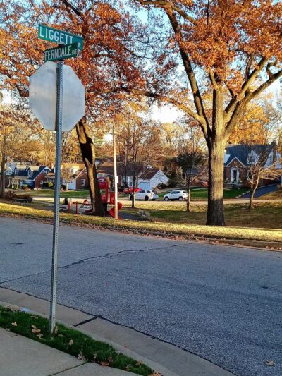 Ferndale Park - St. Louis, MO