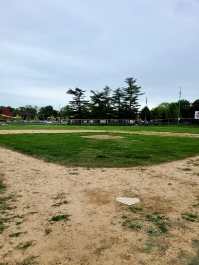 Fox Park - St. Louis, MO