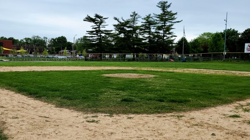 Fox Park - St. Louis, MO