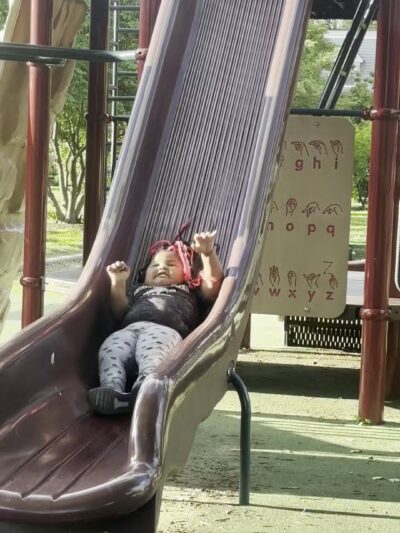 Fox Park - St. Louis, MO