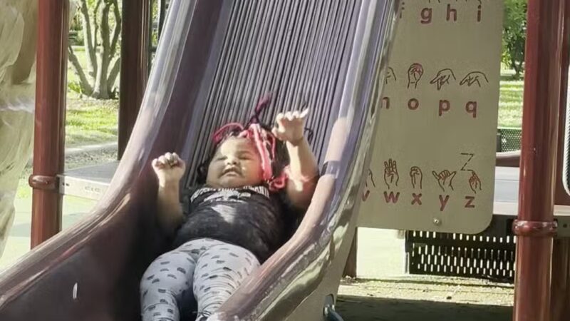 Fox Park - St. Louis, MO