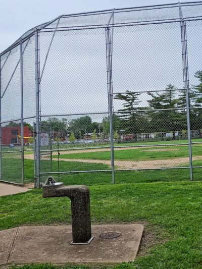 Fox Park - St. Louis, MO