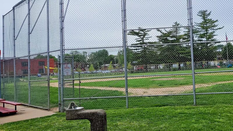 Fox Park - St. Louis, MO