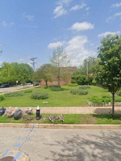Goose Park - St. Louis, MO