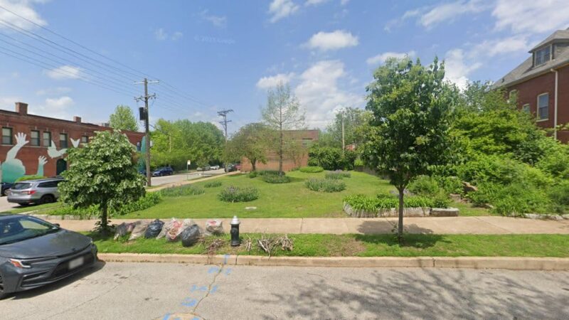 Goose Park - St. Louis, MO