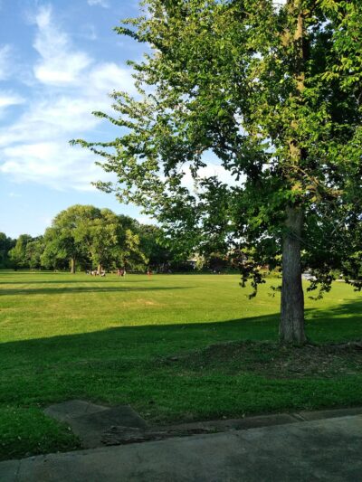 Greensfelder Park - St. Louis, MO