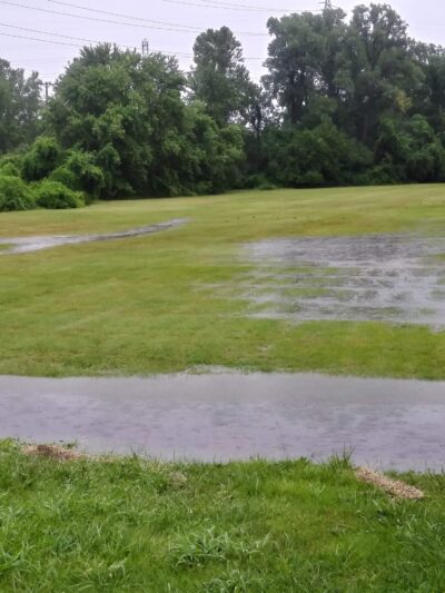 Greensfelder Park - St. Louis, MO