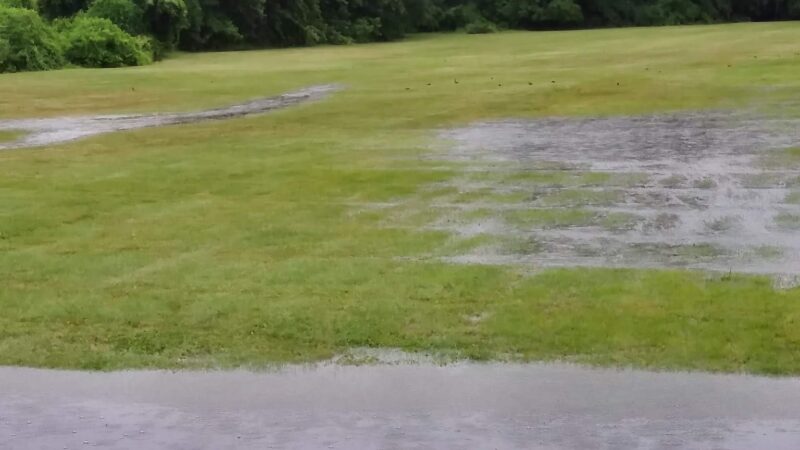 Greensfelder Park - St. Louis, MO