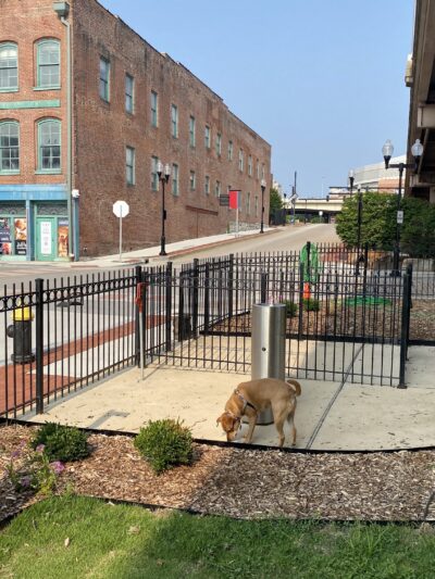 Laclede's Landing Dog Park - St. Louis, MO