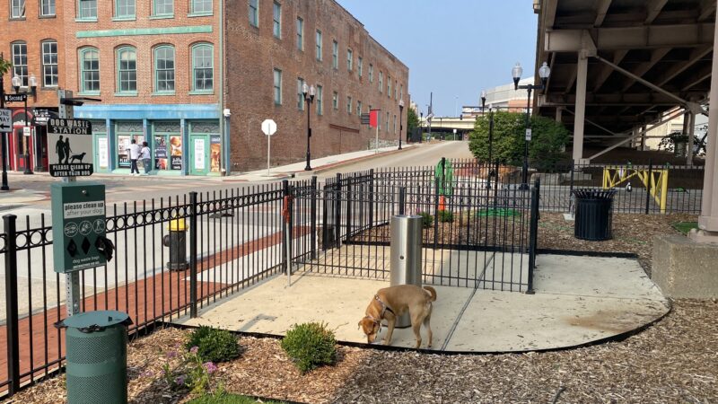 Laclede's Landing Dog Park - St. Louis, MO
