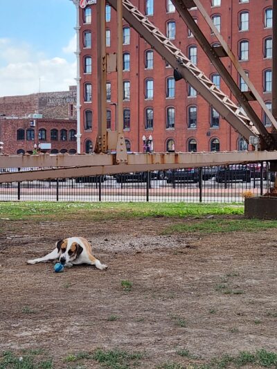 Pohrer Park - St. Louis, MO