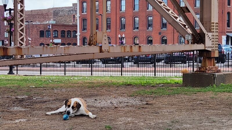 Pohrer Park - St. Louis, MO