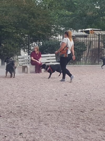Shaw Dog Park (Membership Only) - St. Louis, MO