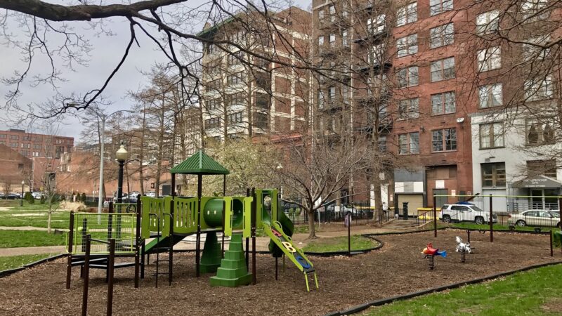 Lucas Dog Park (membership only) - St. Louis, MO