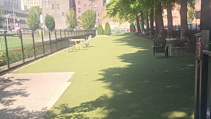 Lucas Dog Park (membership only) - St. Louis, MO