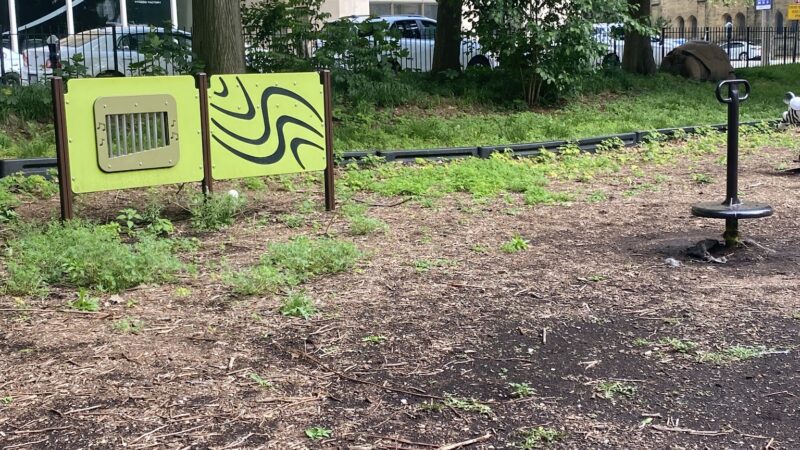 Lucas Dog Park (membership only) - St. Louis, MO