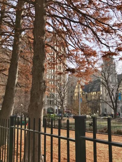 Lucas Dog Park (membership only) - St. Louis, MO