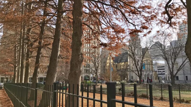 Lucas Dog Park (membership only) - St. Louis, MO