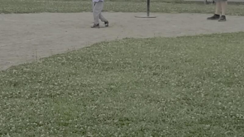 St Peter City Park - St Peter, IL