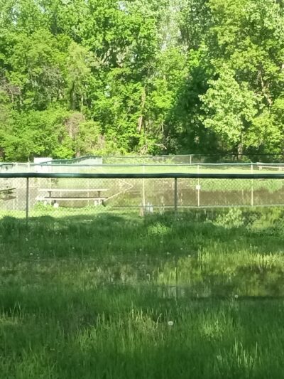 River Valley Dog Park - St Peter, MN