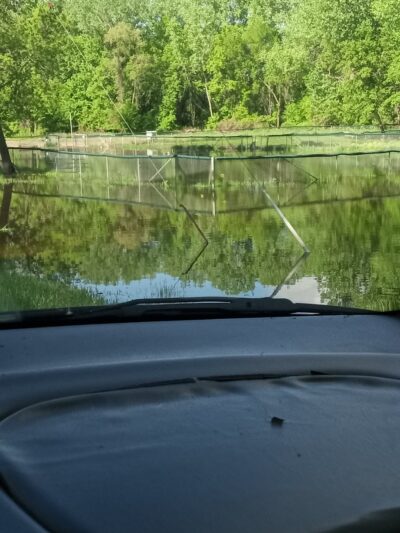 River Valley Dog Park - St Peter, MN