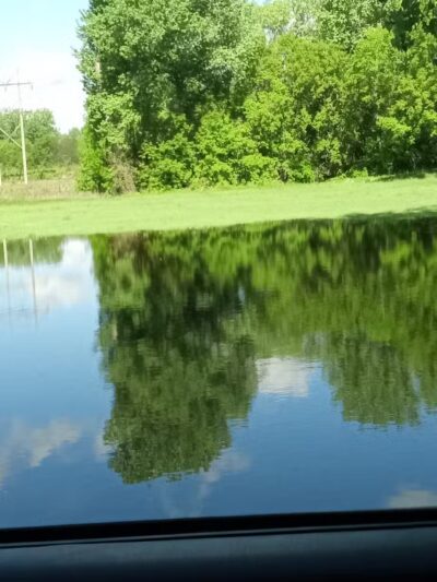 River Valley Dog Park - St Peter, MN