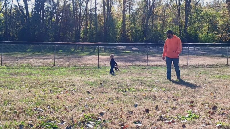 Saint Peter Dog Park - St Peter, MN