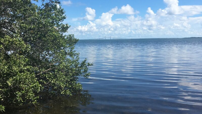 Katherine B. Tippetts Park - St. Petersburg, FL
