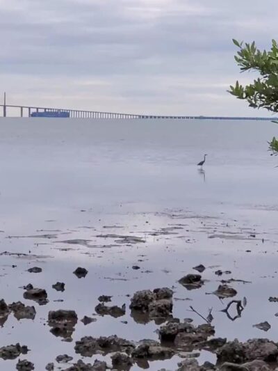 Katherine B. Tippetts Park - St. Petersburg, FL