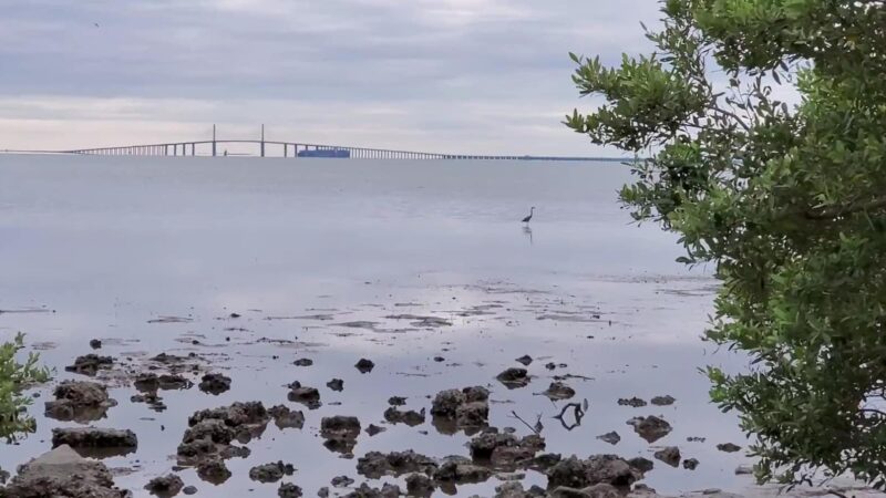 Katherine B. Tippetts Park - St. Petersburg, FL