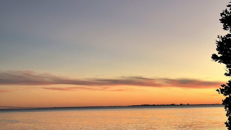 Katherine B. Tippetts Park - St. Petersburg, FL