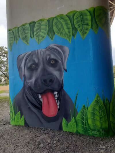 Kenwood Dog Park - St. Petersburg, FL