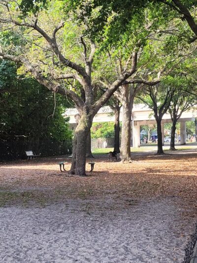 Kenwood Dog Park - St. Petersburg, FL